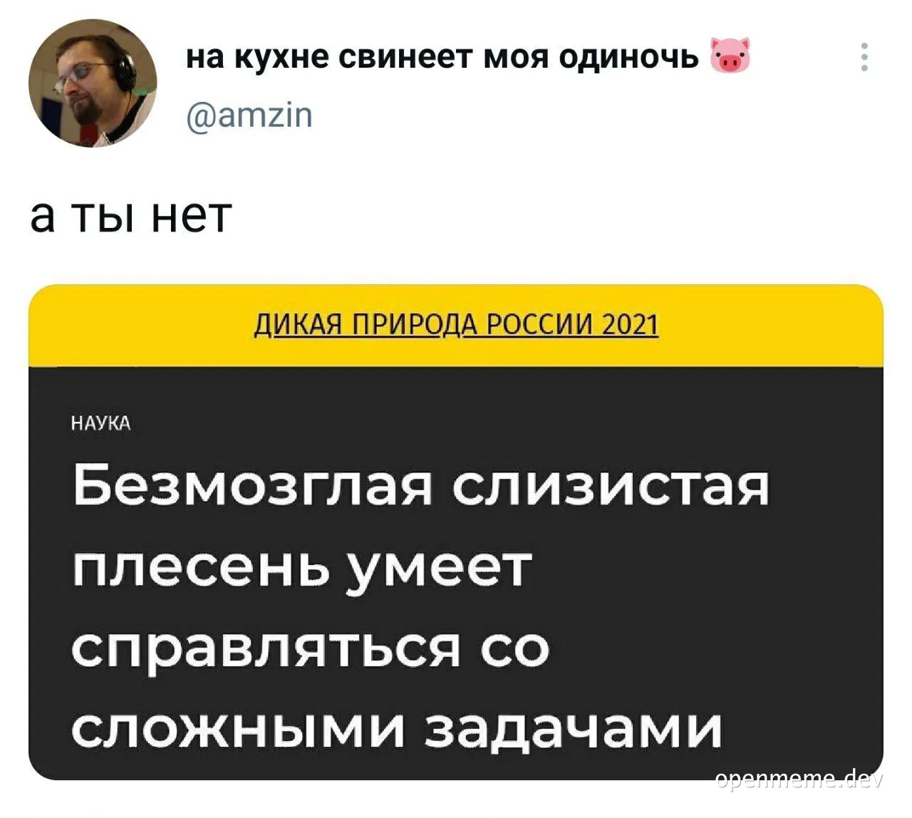 russian-meme-about-mold-and-complex-problems