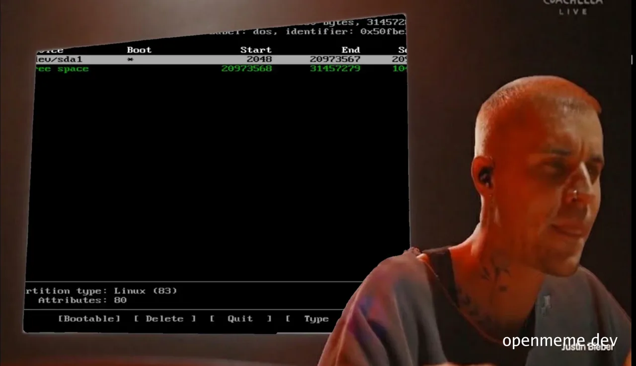 Justin Bieber looking at a computer screen with a Linux partition editor