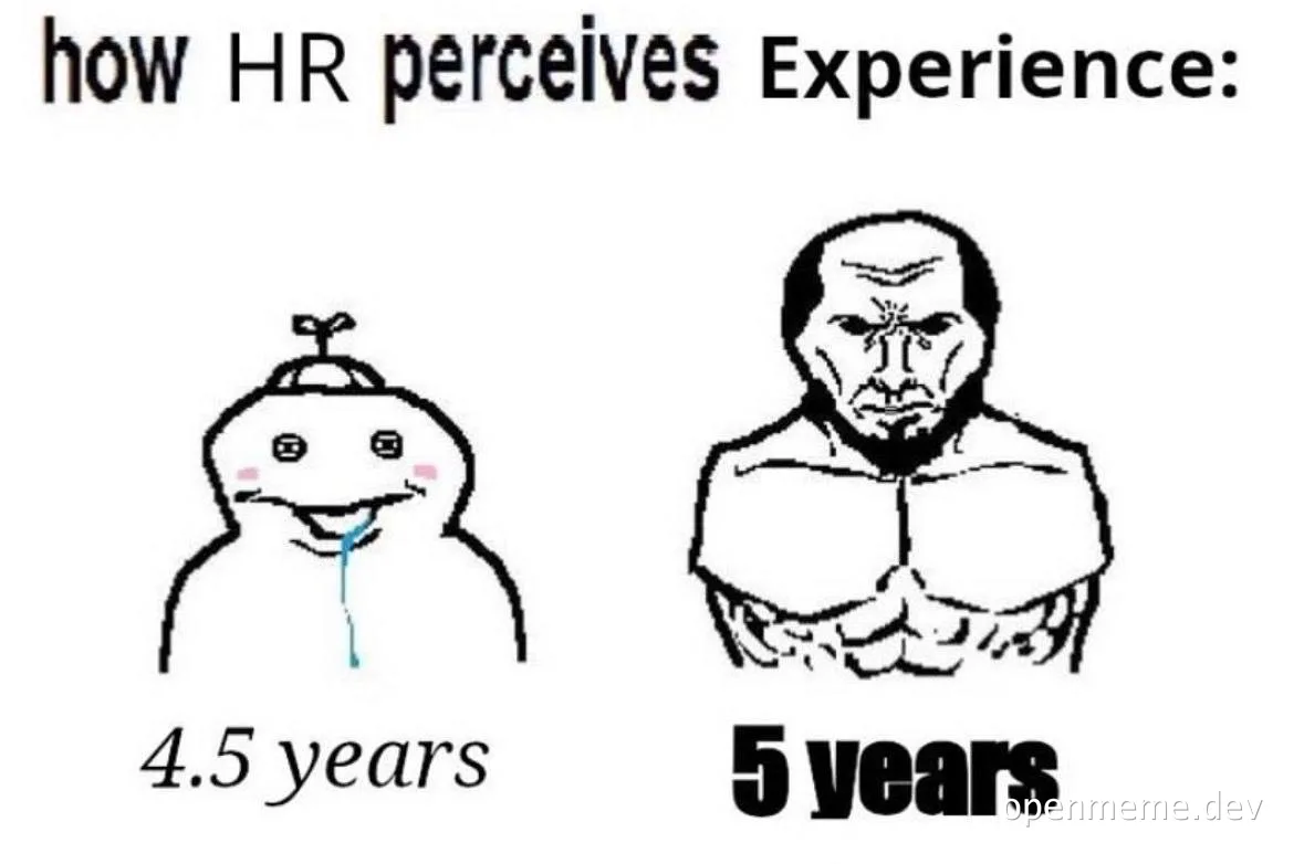 HR perception of experience meme