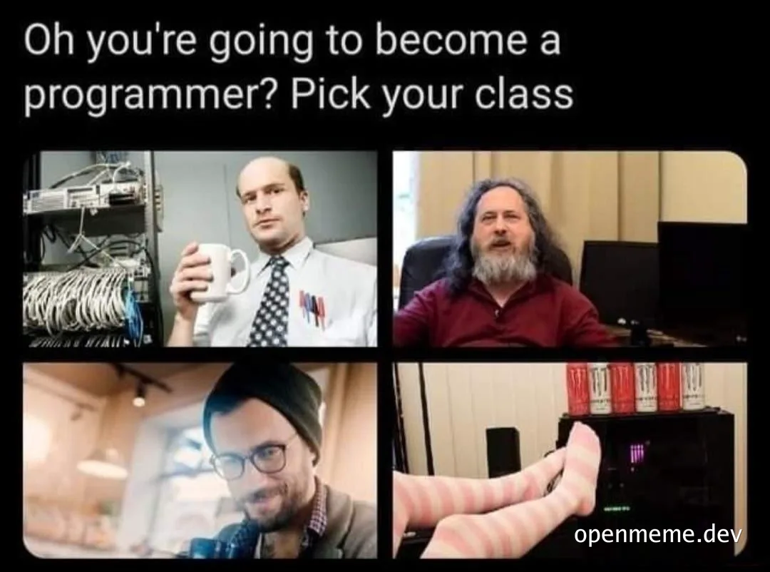 programmer career path meme