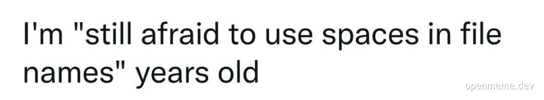 text-based meme about file naming conventions