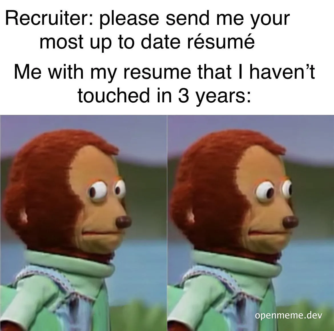 funny meme about outdated resume
