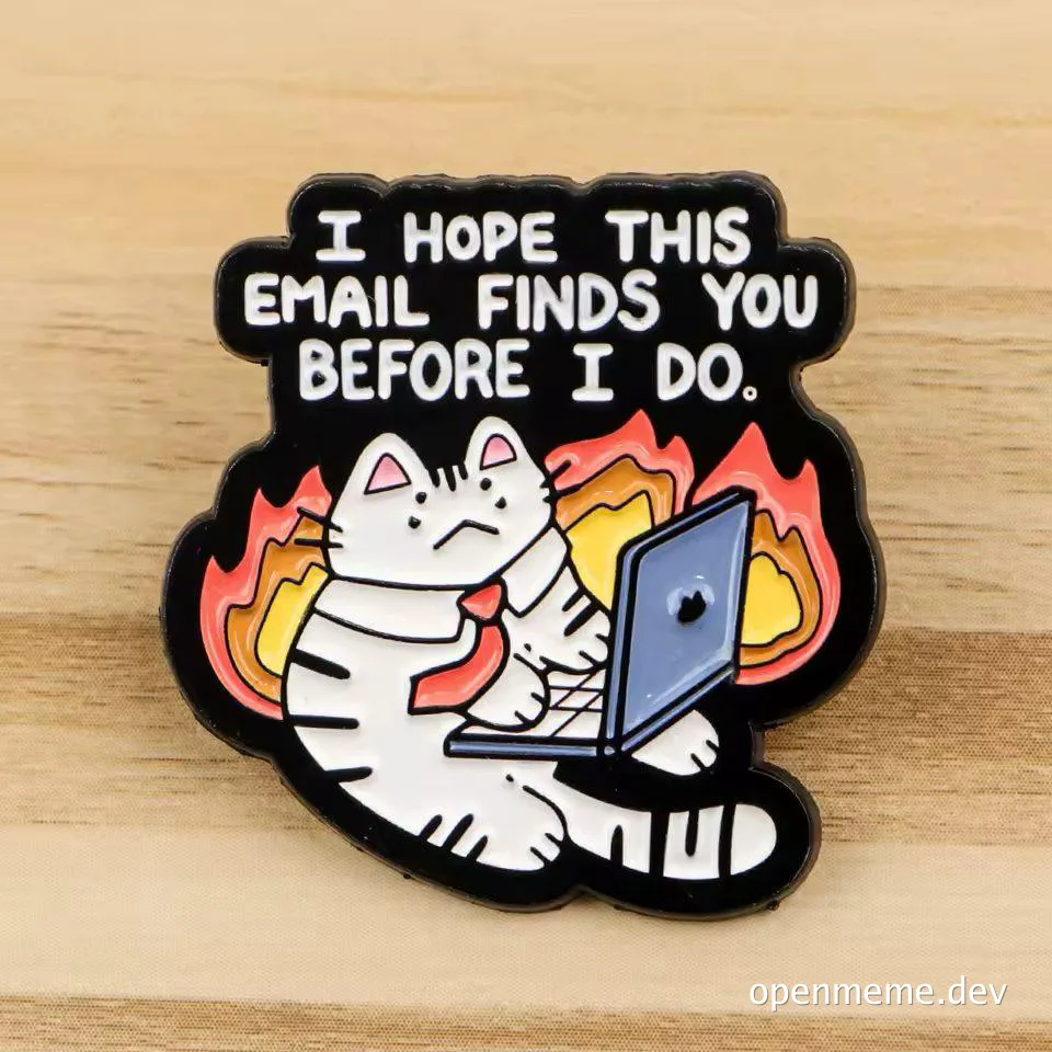 cat sitting at a laptop with flames behind it and the text 'I hope this email finds you before I do'