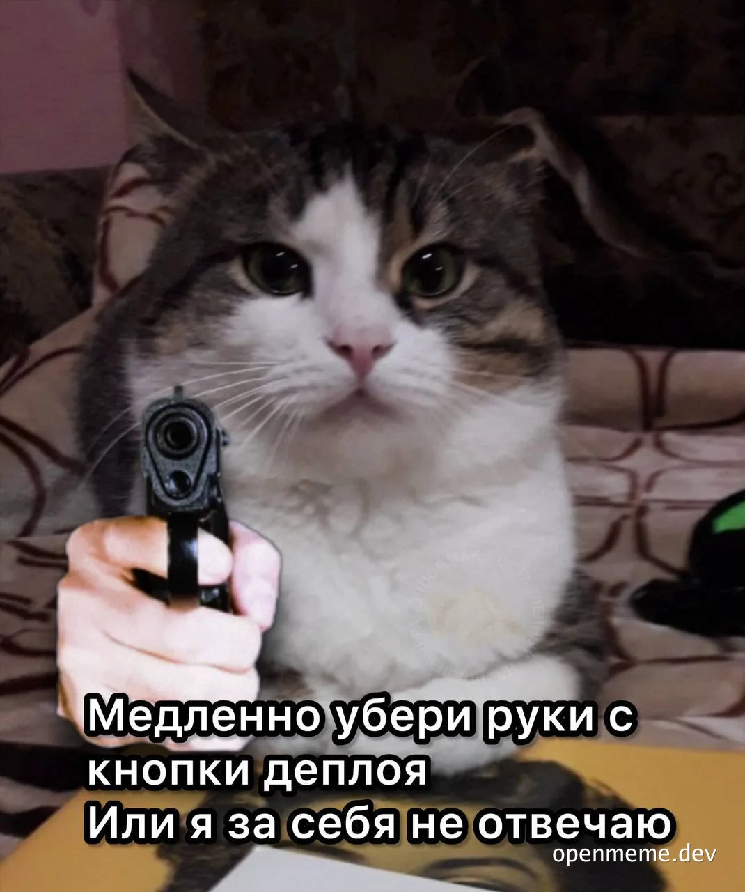 cat holding toy gun meme