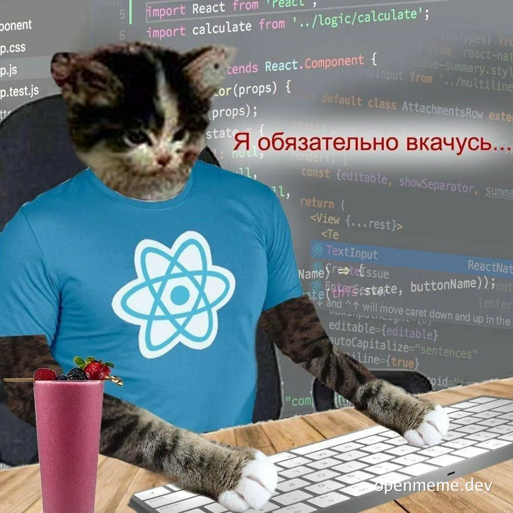 cat in React t-shirt sitting at desk with smoothie