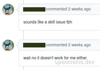 screenshot of a conversation with two comments about a technical issue