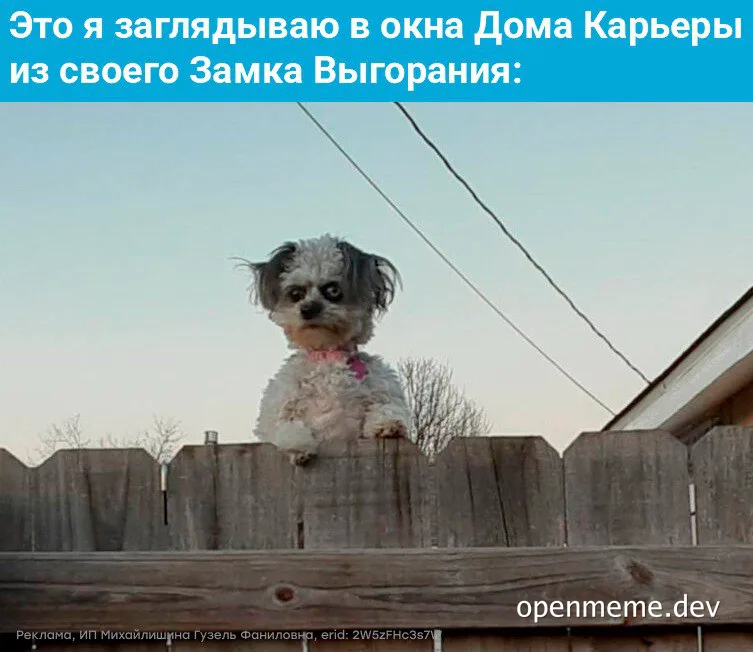 small white and black dog peeking over a wooden fence