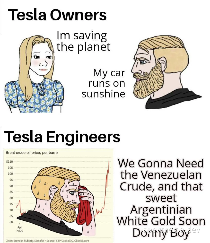 Tesla Owners vs Tesla Engineers meme