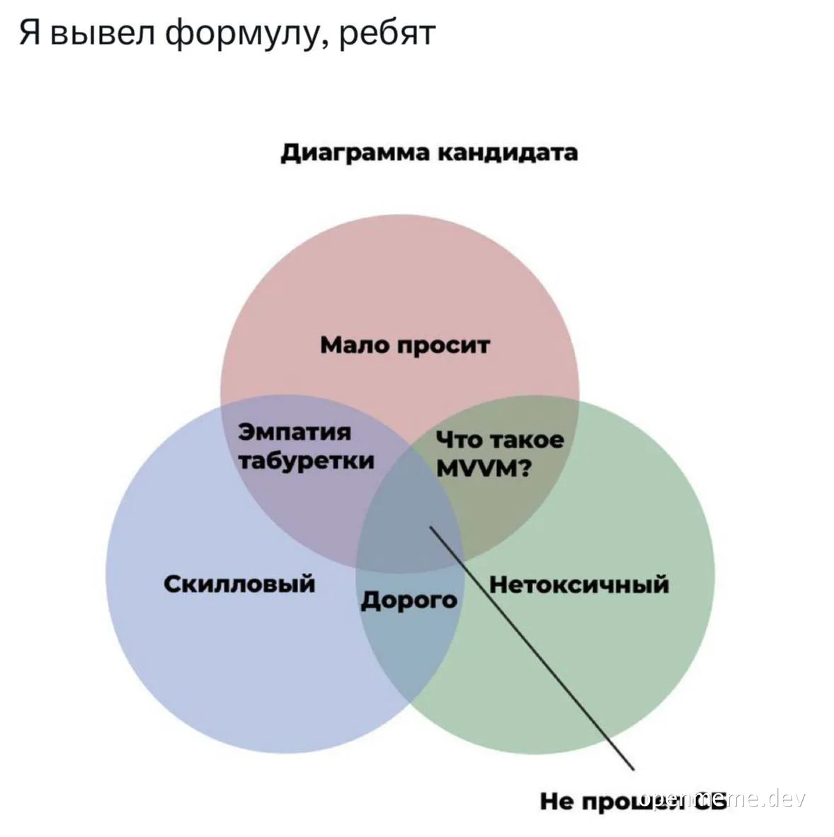 venn diagram of developer candidate skills
