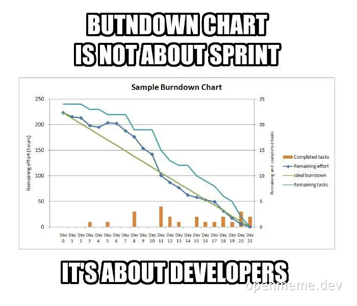 Burndown chart meme with a graph and the text 'BUTNDOWN CHART IS NOT ABOUT SPRINT IT'S ABOUT DEVELOPERS'