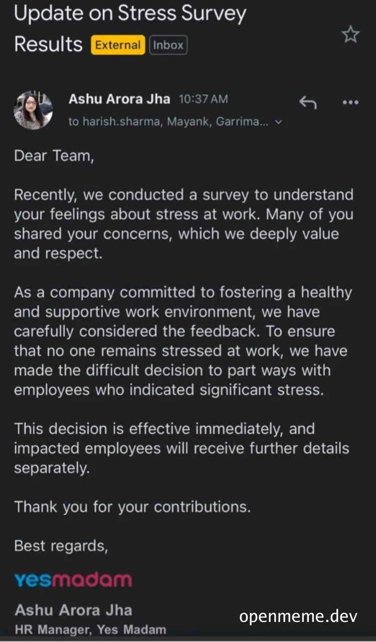 Email screenshot of HR manager Ashu Arora Jha announcing company layoffs due to stress survey