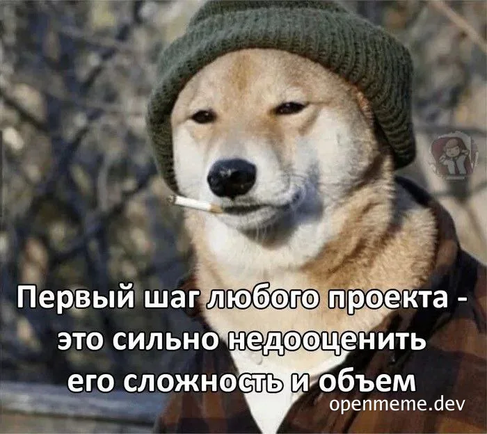 Shiba Inu dog in a green beanie with a cigarette, representing underestimating project complexity