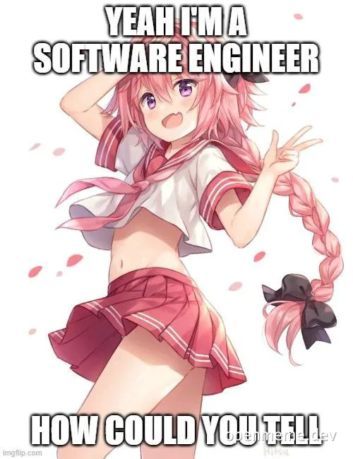 anime girl with pink hair and text 'YEAH I'M A SOFTWARE ENGINEER HOW COULD YOU TELL'