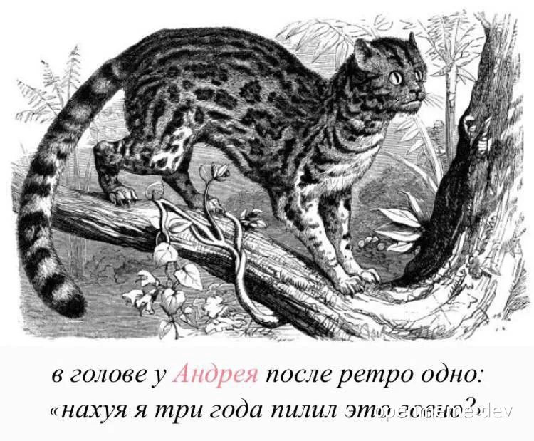 black and white drawing of a cat on a branch with russian text