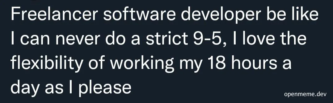 Freelancer software developer meme about flexible working hours