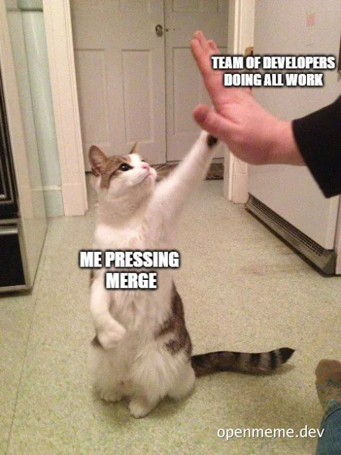 cat reaching up to high five with a person's hand, captioned 'TEAM OF DEVELOPERS DOING ALL WORK' and 'ME PRESSING MERGE'
