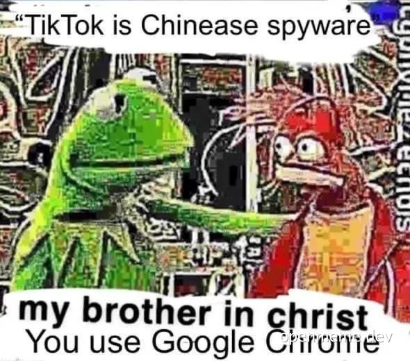 Kermit and another Muppet character reacting to a statement about TikTok being Chinese spyware