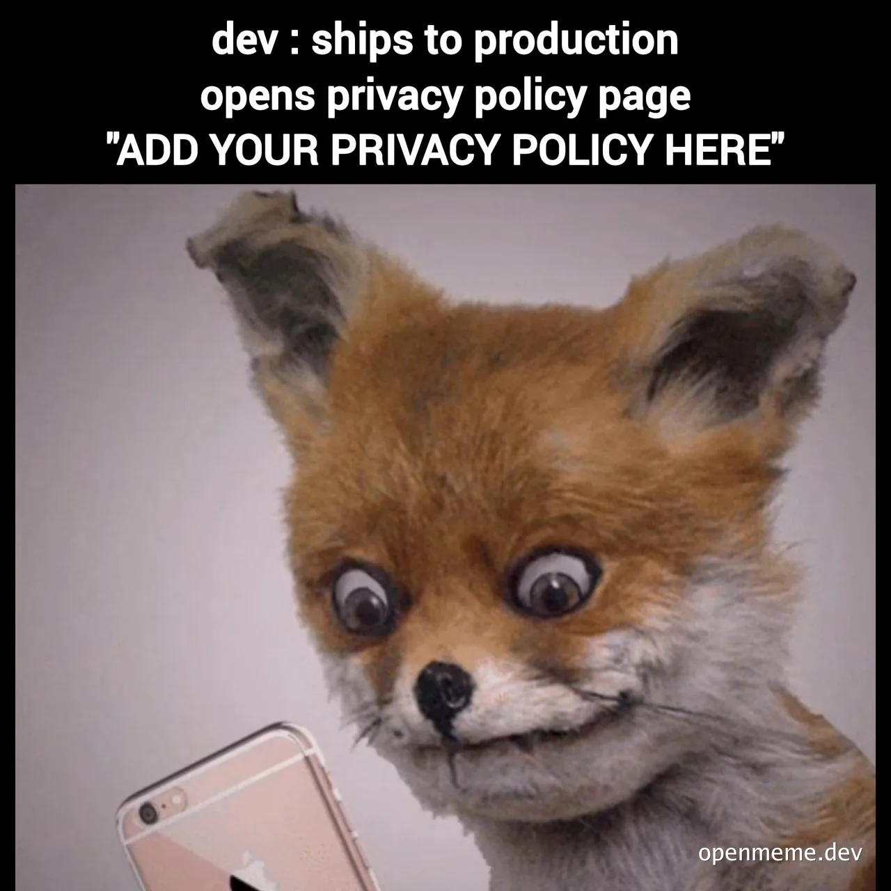 surprised foxy with iphone, dev ships to production, opens privacy policy page, ADD YOUR PRIVACY POLICY HERE
