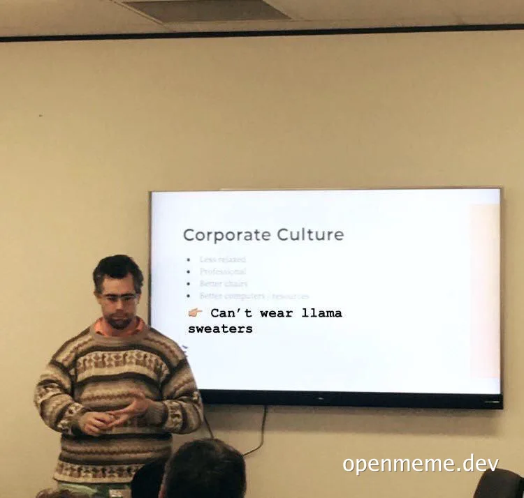 man in llama sweater presenting corporate culture