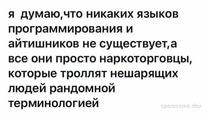 russian text about programmers