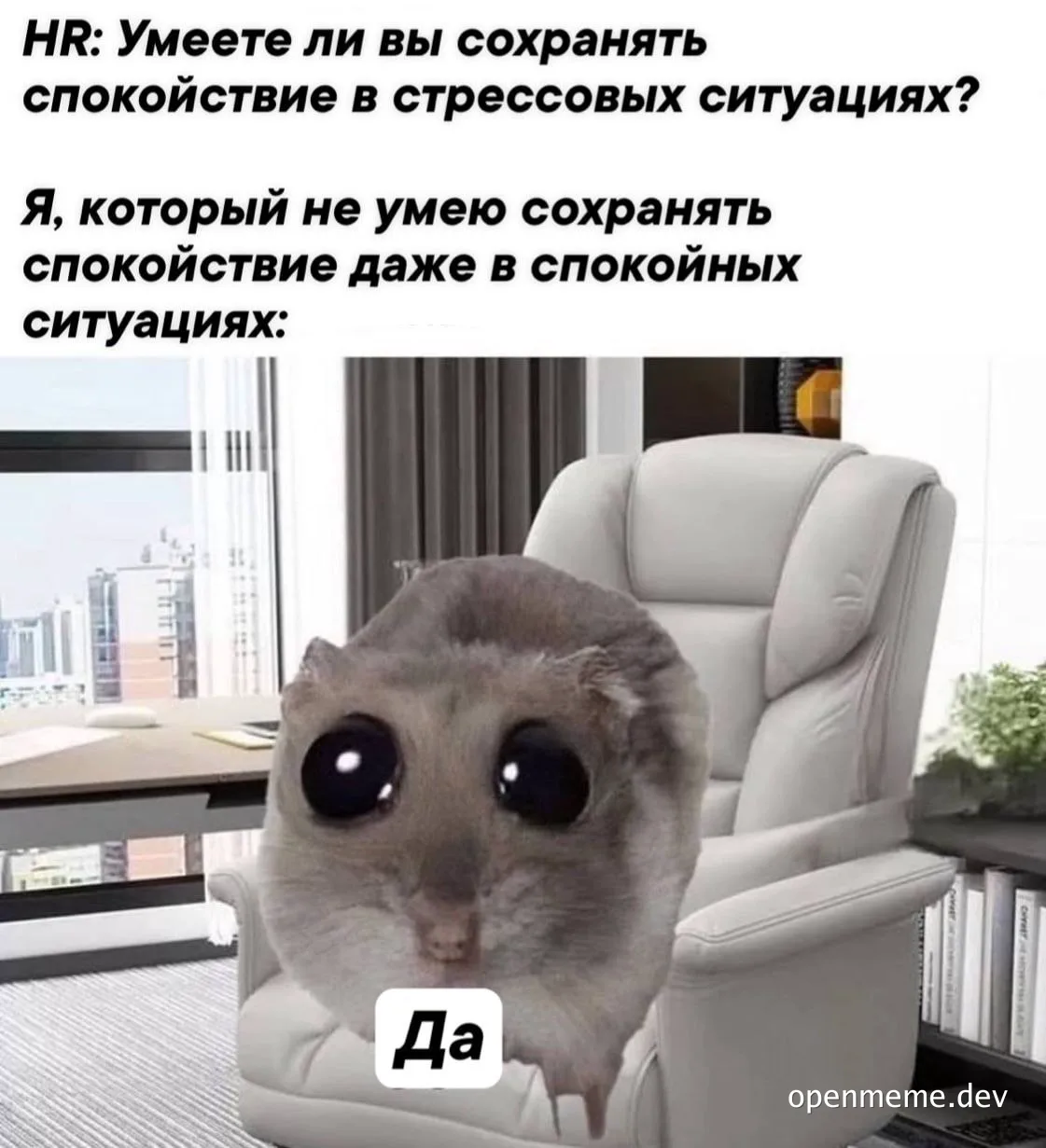 meme of a hamster in an office chair with a surprised expression