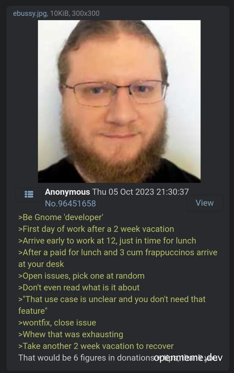 humorous image of a man with a beard and glasses representing a gnome developer