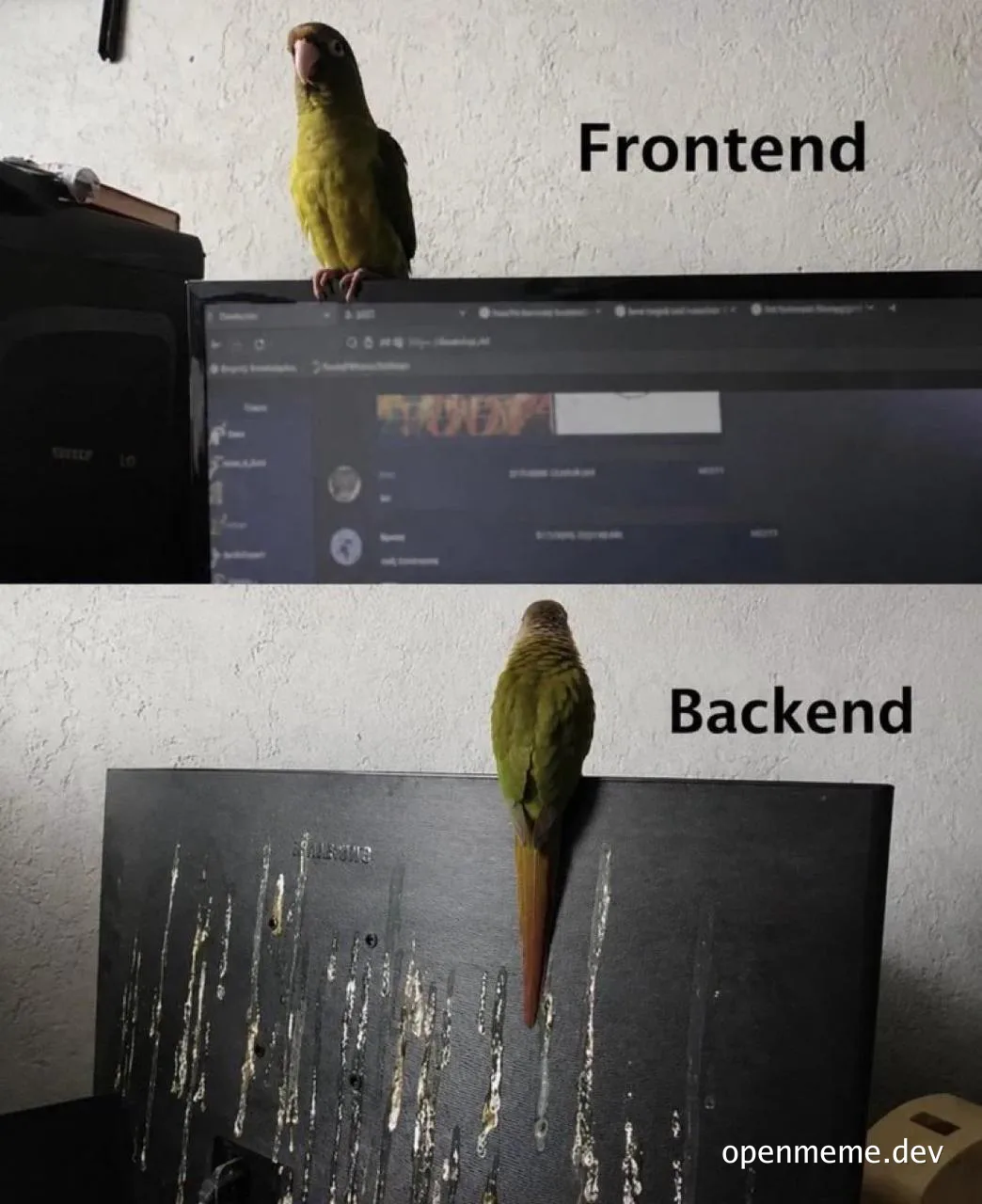 A meme showing a parrot facing a monitor labeled Frontend, and another parrot facing away from a monitor labeled Backend, pooping on the screen.