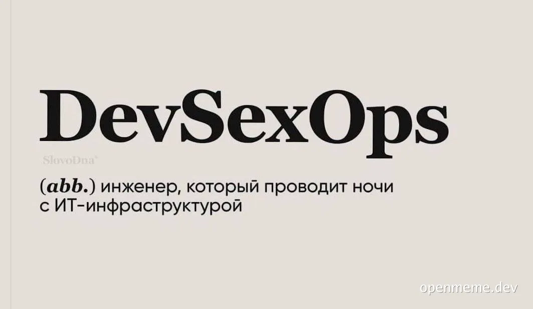 DevSexOps meme image