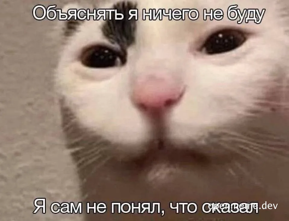 cat meme with russian text