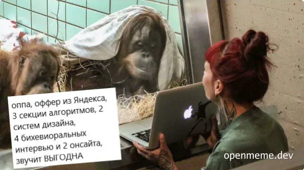 Woman looking at laptop with orangutans in background and russian text about yandex job offer