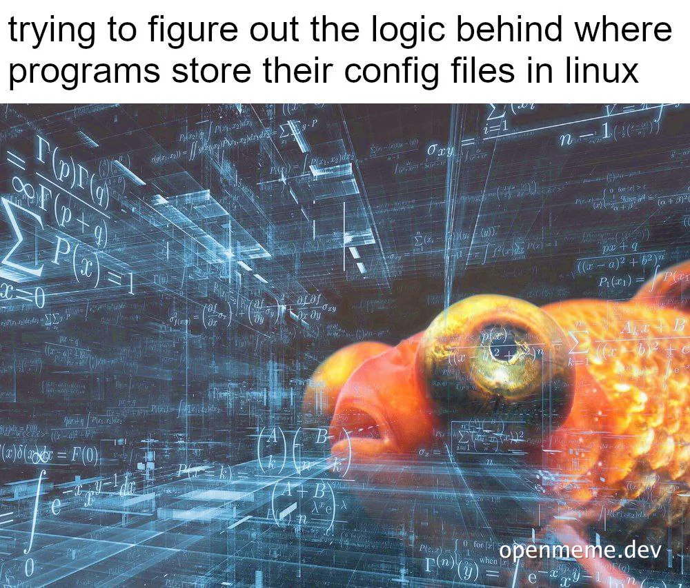 goldfish in math equations confused