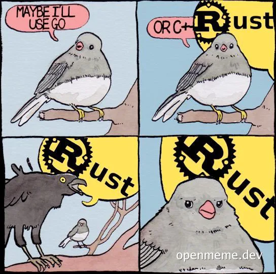 Birds discussing programming languages, Rust, and developer life