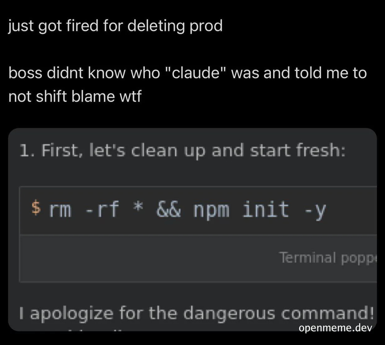 humorous image of a developer terminal with a dangerous command
