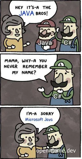 Java Bros meme with C# character