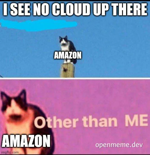 cat meme about Amazon cloud
