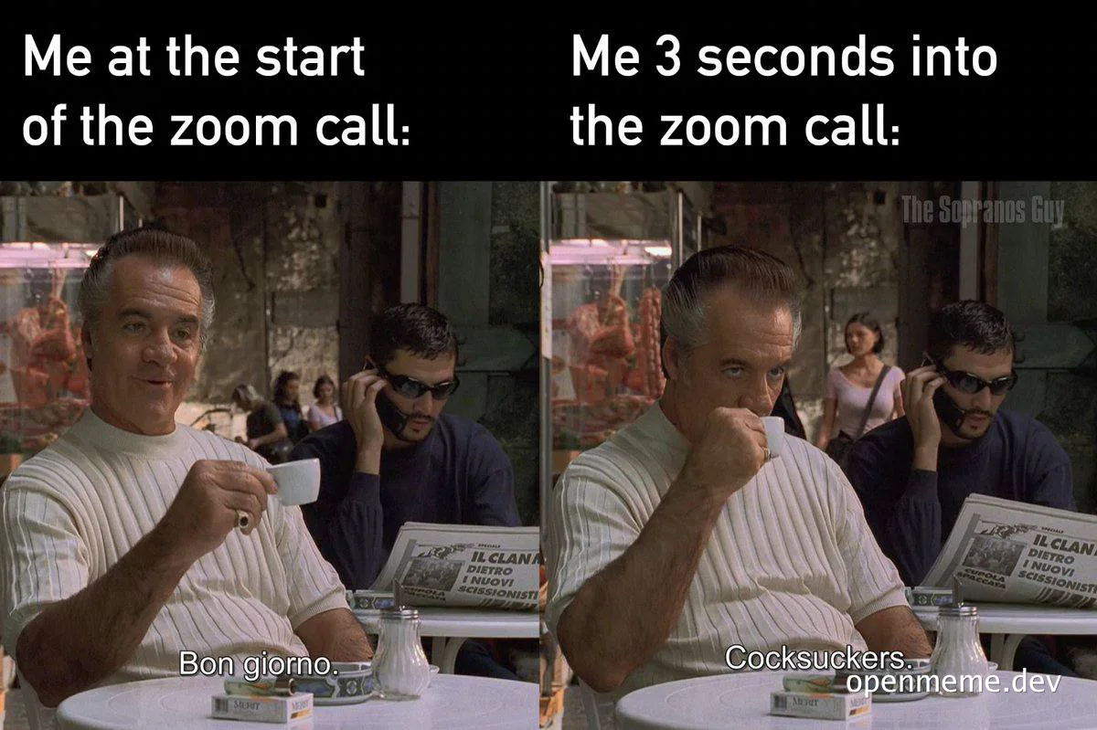 meme about mood swing during zoom call