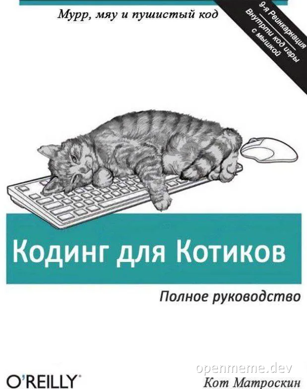 cat sleeping on keyboard