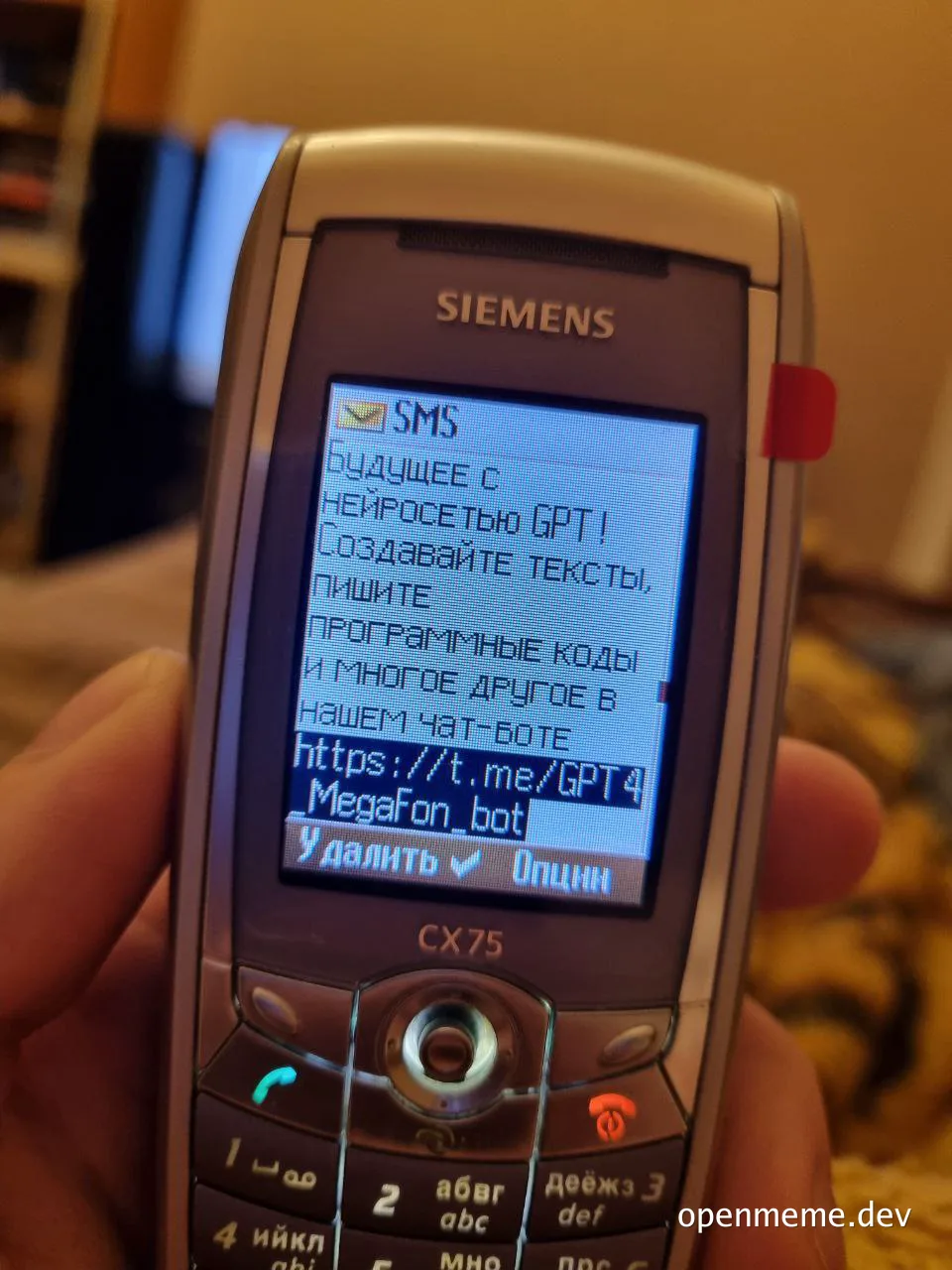 a hand holding a Siemens cell phone with a text message on the screen