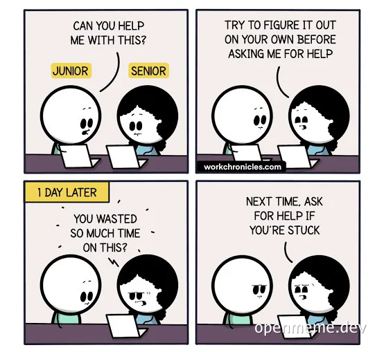 Comic strip about junior and senior developer discussing help with code