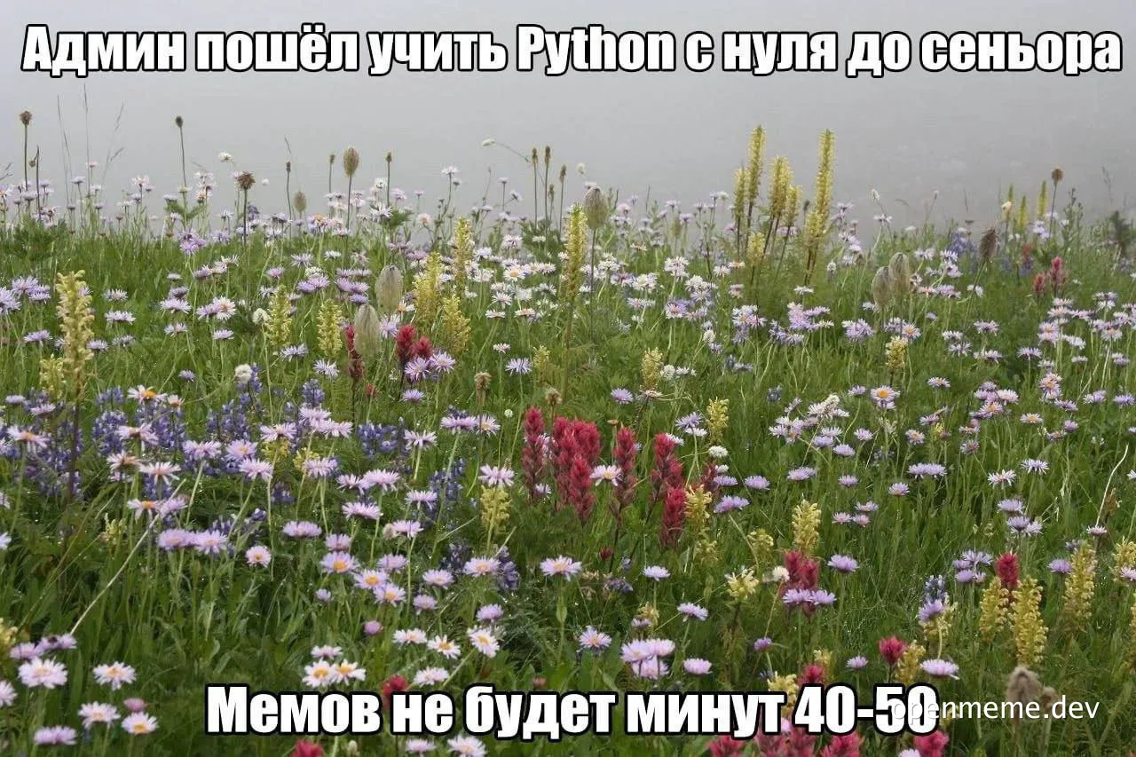 field of flowers with russian text overlay