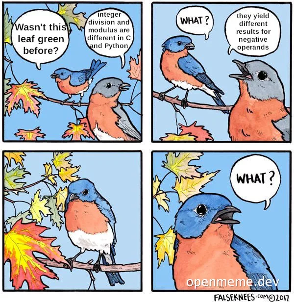 birds discussing integer division and modulus differences between C and Python