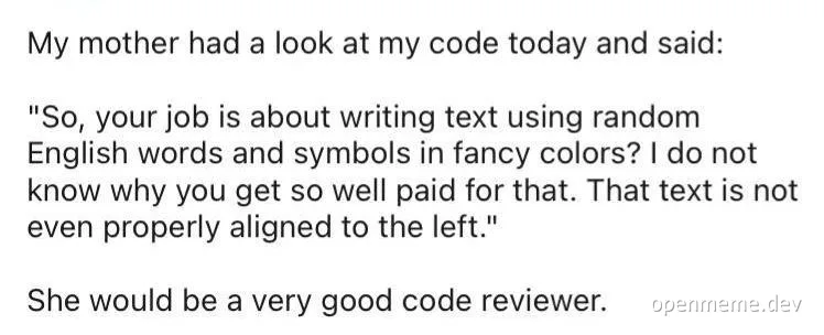 humorous text about a mother reviewing code