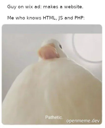 a white bird looking down with the text 'Pathetic'
