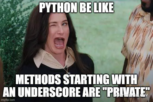 Woman reacting in shock, text: PYTHON BE LIKE METHODS STARTING WITH AN UNDERSCORE ARE PRIVATE