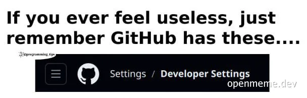 GitHub developer settings meme
