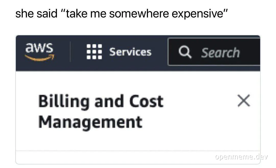 AWS billing and cost management screenshot with a humorous caption