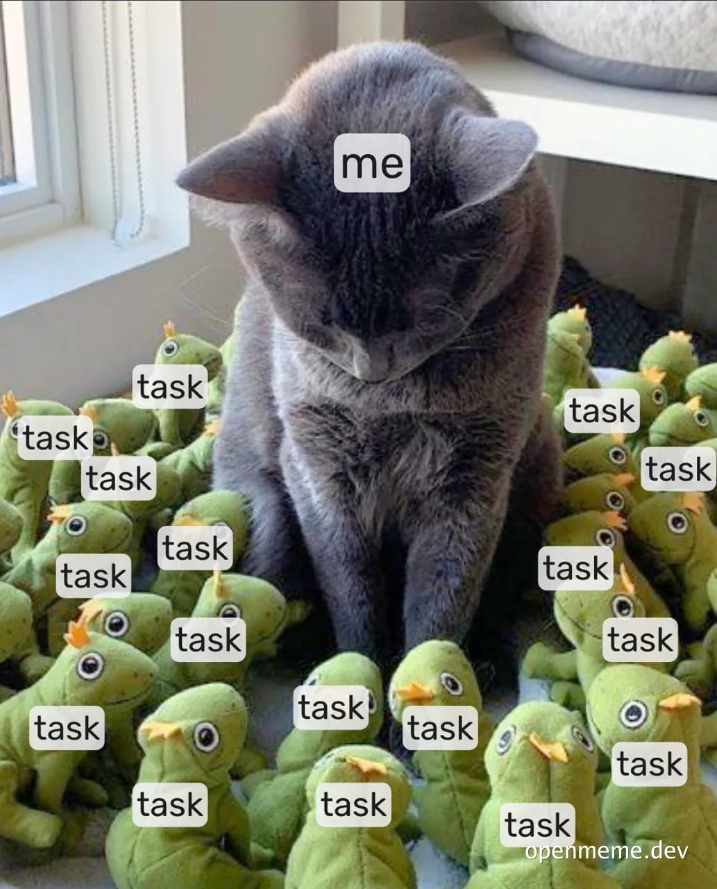 a gray cat surrounded by green frog toys with task labels, representing being overwhelmed by tasks