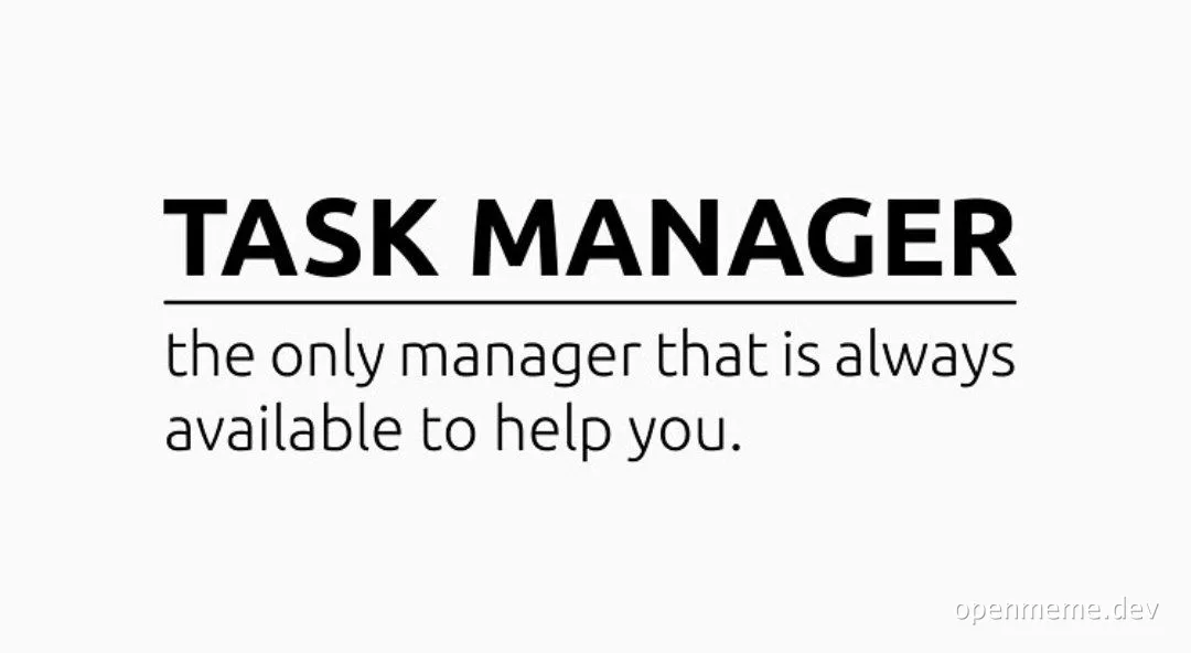 TASK MANAGER the only manager that is always available to help you