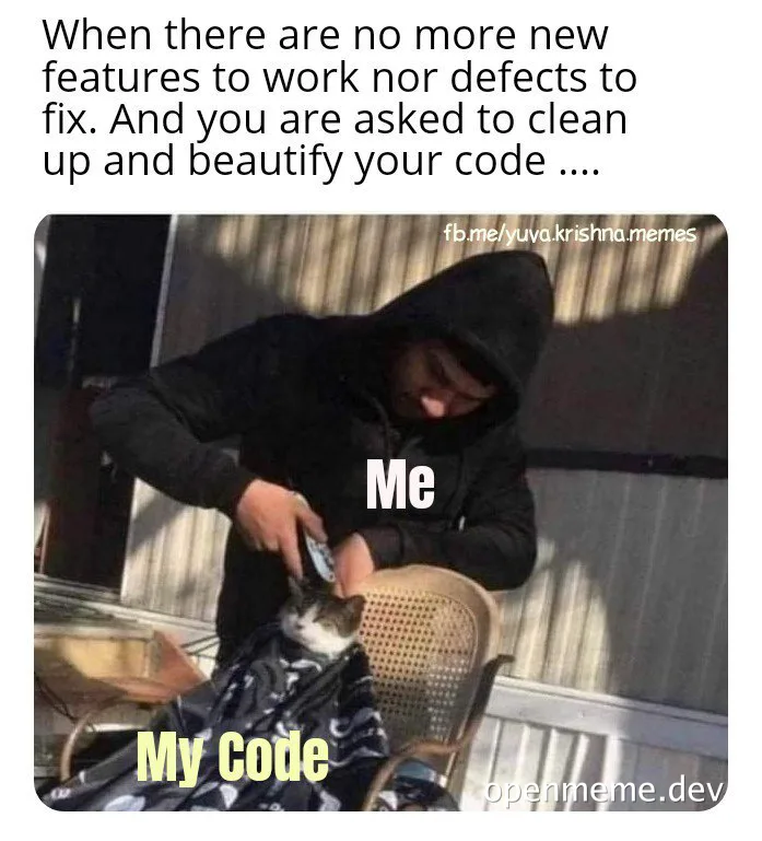 Developer grooming code like a cat