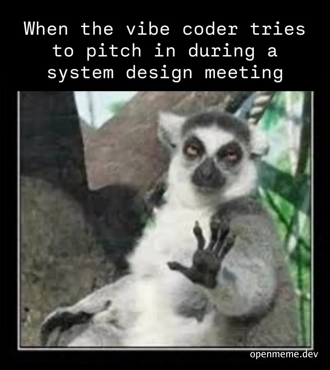 lemur meme about a coder trying to contribute in a system design meeting